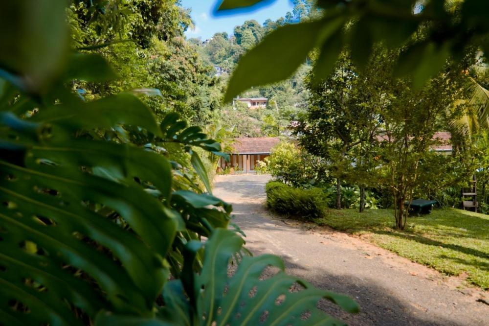 Clove Garden Kandy Exterior photo